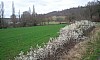 Conques Pampelune 2012 avril photo_023.jpg